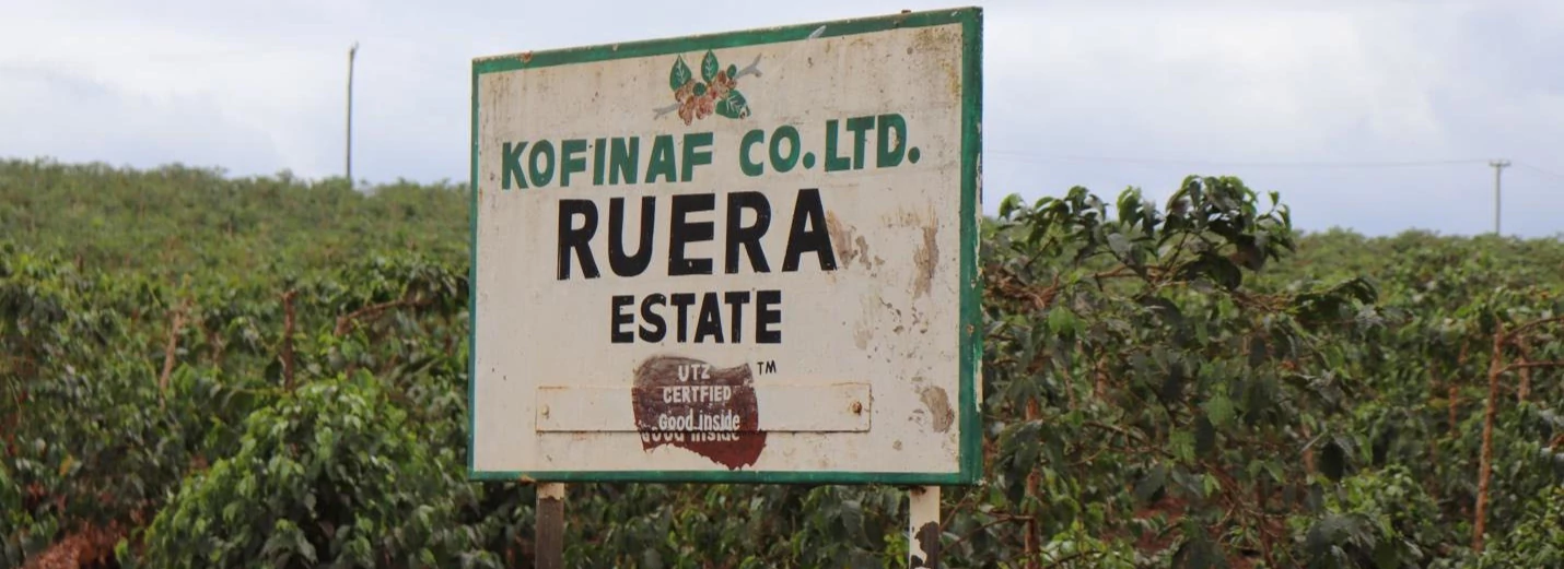 RUERA ESTATE